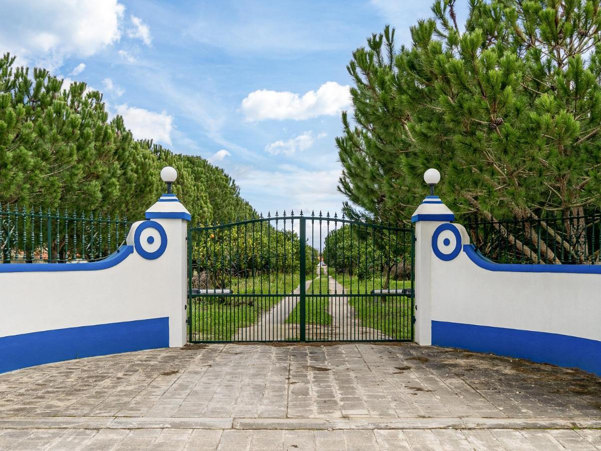 Quinta Do Cutato - Beatriz Guest House - Sotao Santo Estevao  Luaran gambar